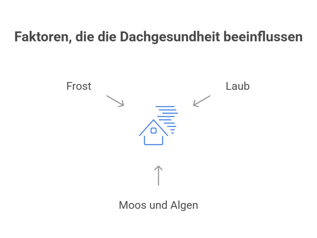 Diagramm mit einer Haus-Illustration in der Mitte, umgeben von den drei Begriffen "Frost", "Laub" und "Moos und Algen" mit Pfeilen, die jeweils auf das Haus zeigen. Oben steht: "Faktoren, die die Dachgesundheit beeinflussen".