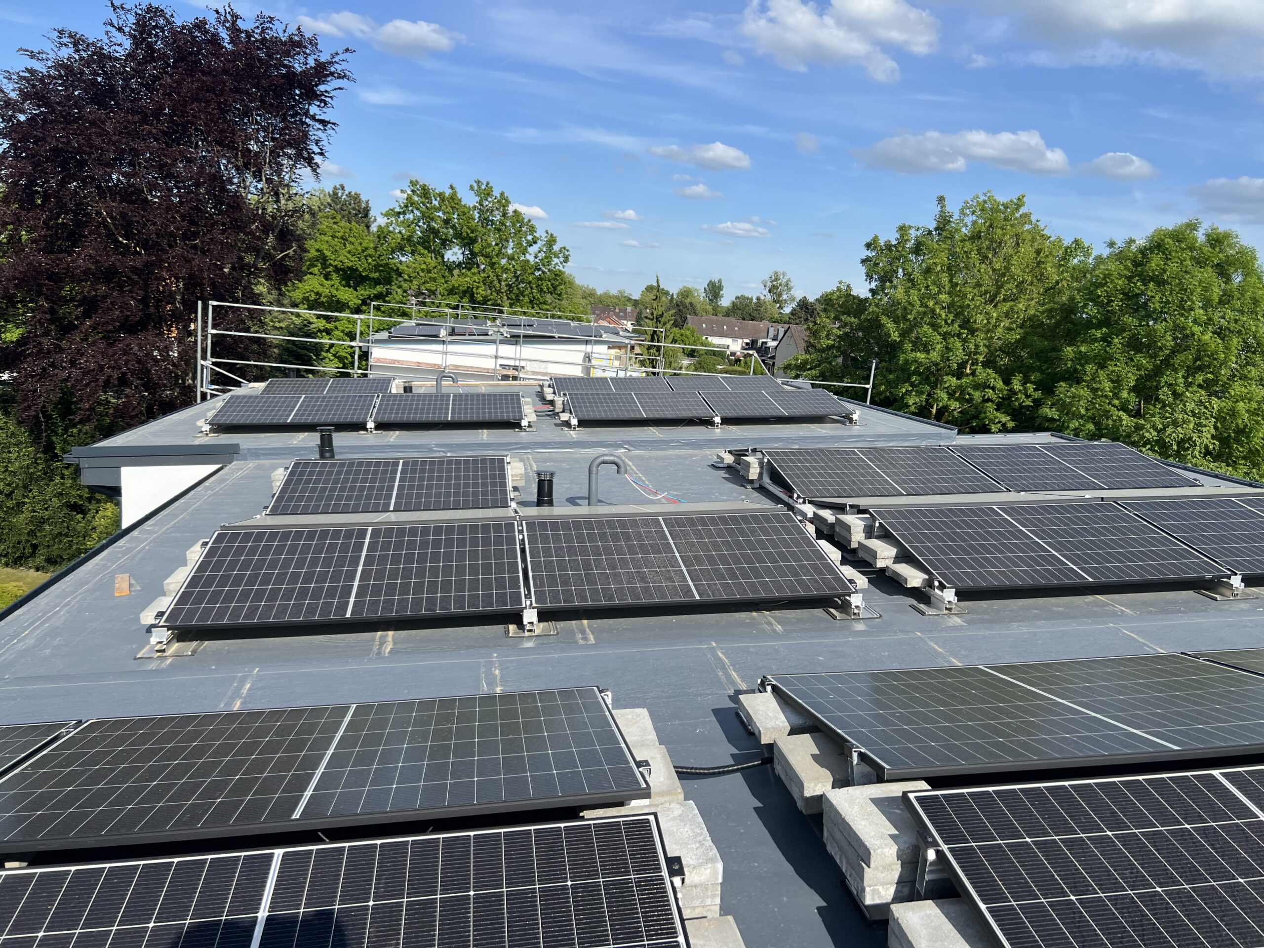Reihen von Solarmodulen auf einem Flachdach, umgeben von grünen Bäumen und einem klaren Himmel mit vereinzelten Wolken. An den Dachrändern sind einige Sicherheitsgeländer sichtbar.