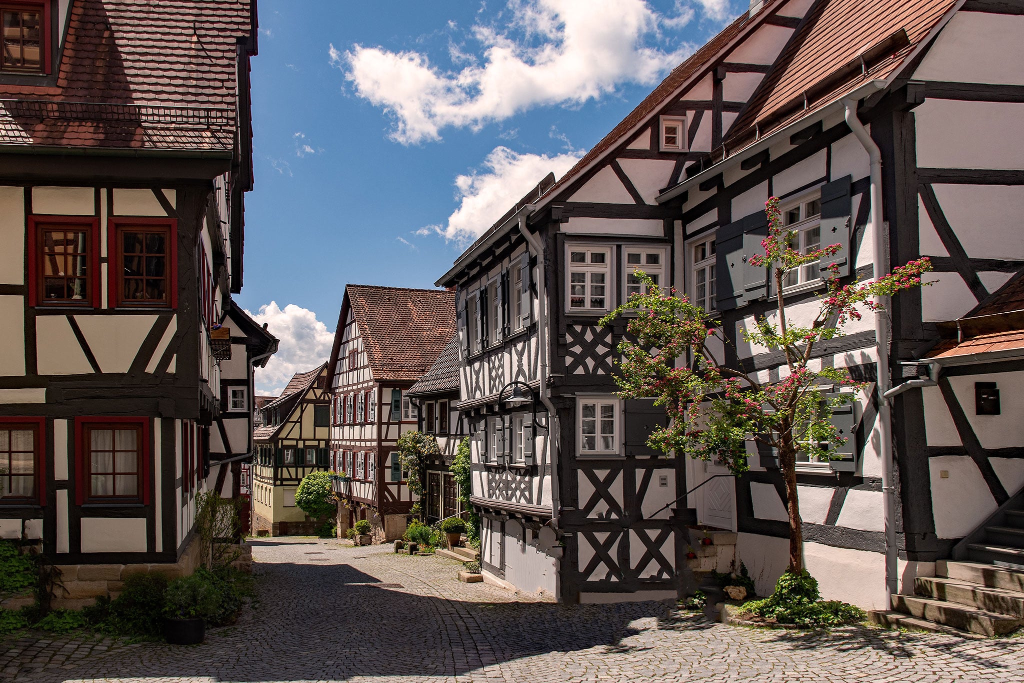 Eine Straße mit Kopfsteinpflaster, gesäumt von traditionellen Fachwerkhäusern mit weißen Wänden und dunklen Holzbalken, unter einem teilweise bewölkten blauen Himmel. In der Nähe der Häuser wächst ein Baum mit rosa Blüten.