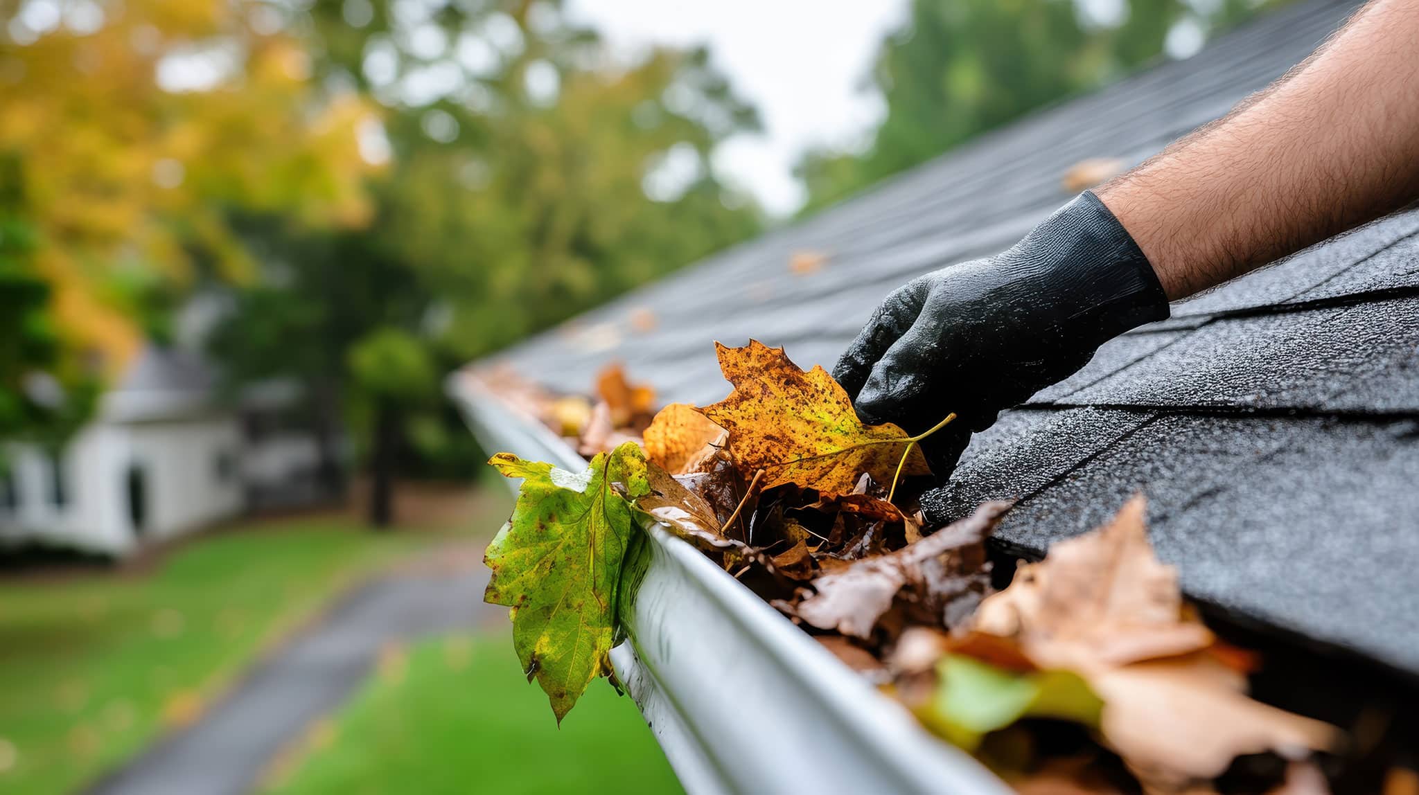 Eine Person, die einen schwarzen Handschuh trägt, entfernt gelbe und braune Herbstblätter von einer Dachrinne eines Hauses. Das Dach und die Dachrinne sind im Fokus, im unscharfen Hintergrund sind Bäume und ein Rasen zu sehen.