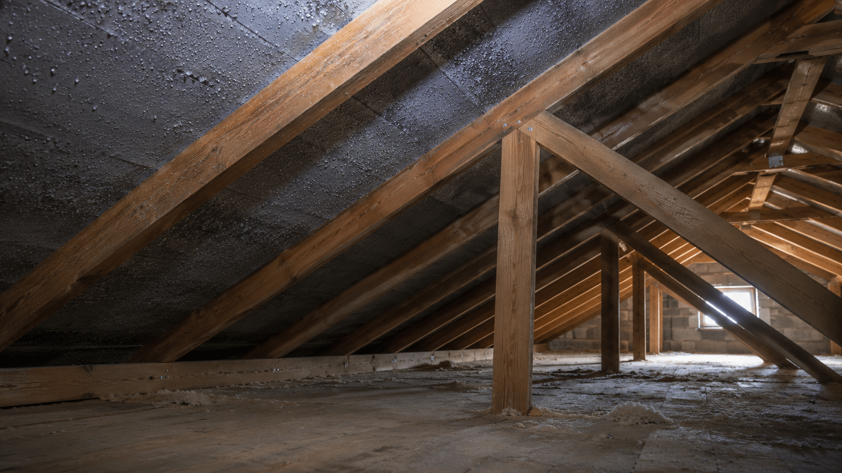 Ein Blick auf einen leeren Dachboden mit freiliegenden Holzbalken und Sparren, einem Sperrholzboden und etwas Licht, das durch ein kleines Fenster am anderen Ende fällt. An der Unterseite des Daches sind Feuchtigkeitsflecken zu sehen.